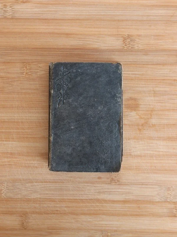 Capa do livro MANUAL DAS FILHAS DE MARIA